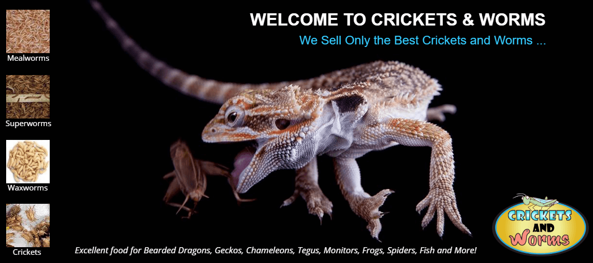 cricketsandworms.com